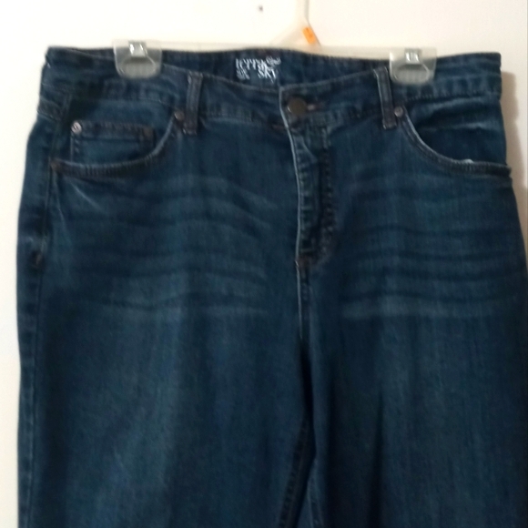 Terra&Sky Classic Blue Women's Jeans Size 14W - Picture 6 of 7